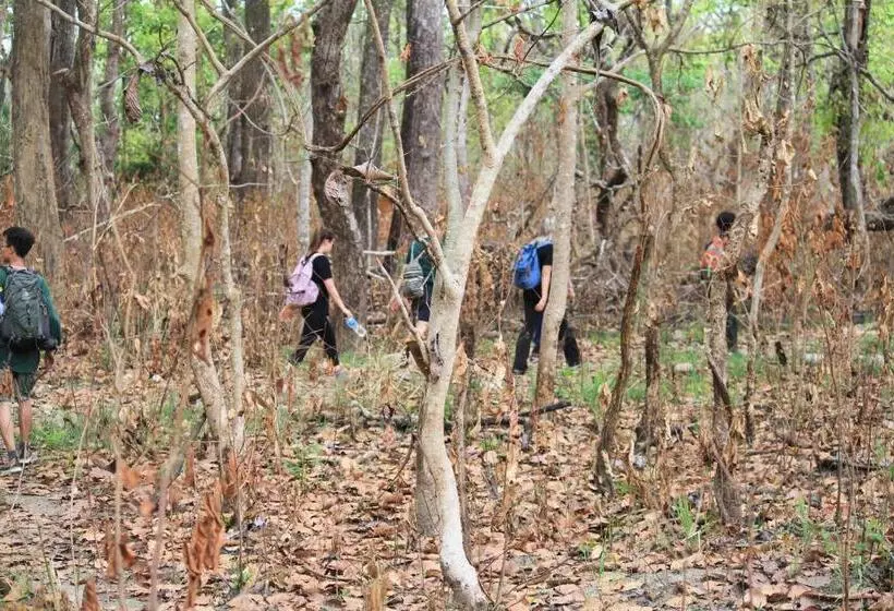 هتل Tharu Garden, Sauraha