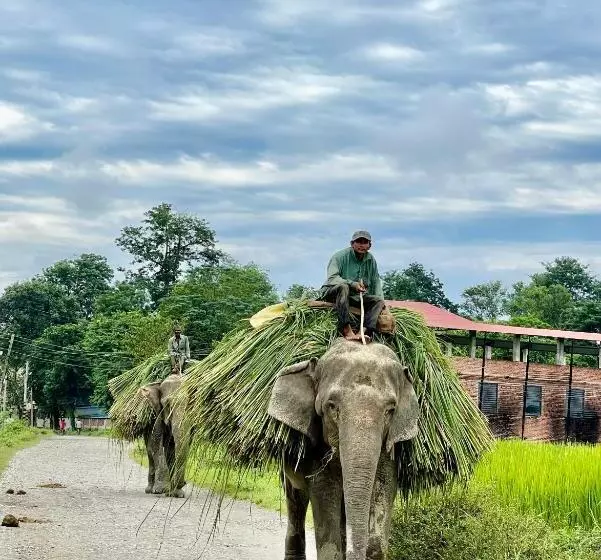 هتل Tharu Garden, Sauraha
