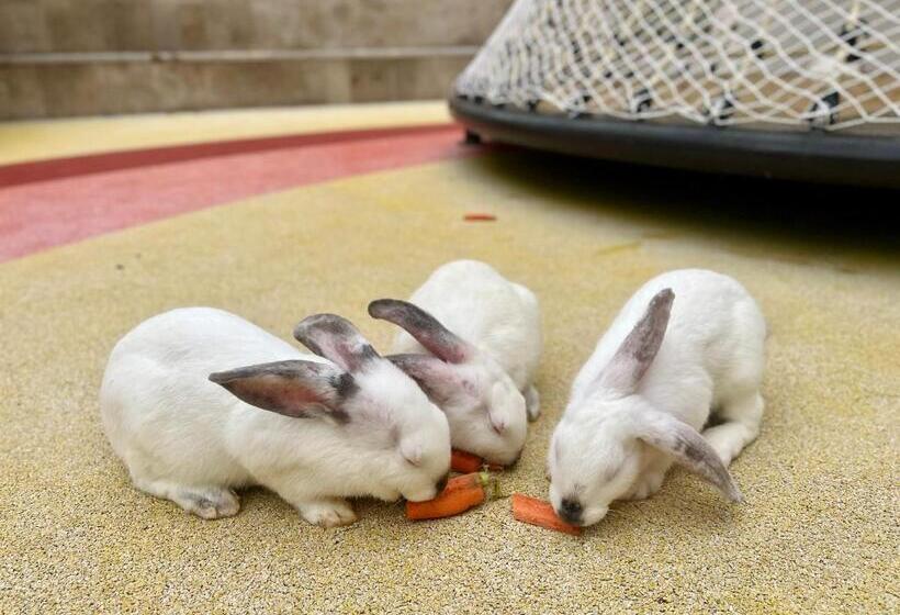 Hyatt Regency Hainan Ocean Paradise Resort