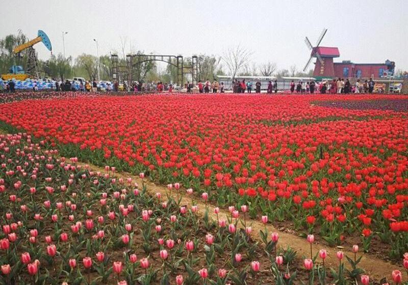 Otel 7days Premium Binzhou People S Hospital Branch