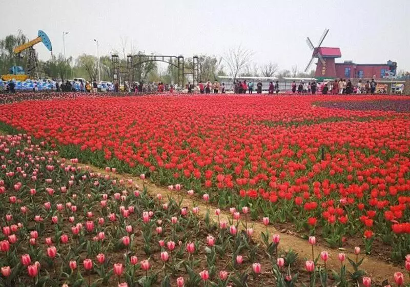 Hotelli 7days Premium Binzhou People S Hospital Branch