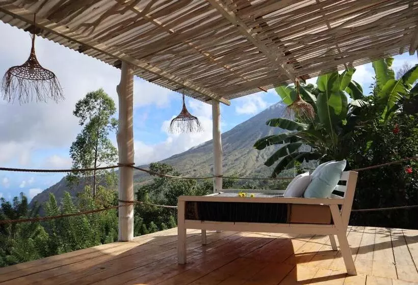 Hotelli Manulalu Jungle