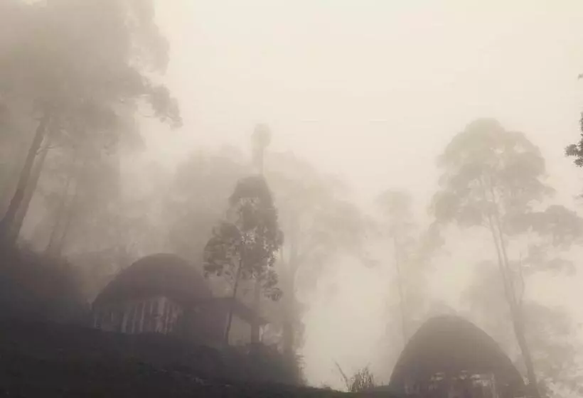 Hotelli Manulalu Jungle