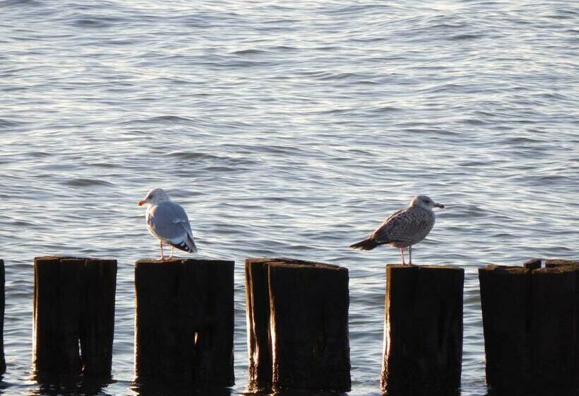 펜션 Ferienwohnungen Andresen _ Objekt