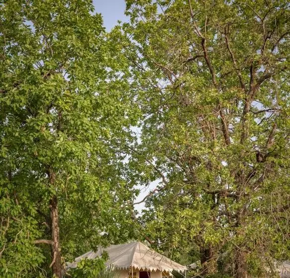 Lomakeskus Bagh Villas I Kanha