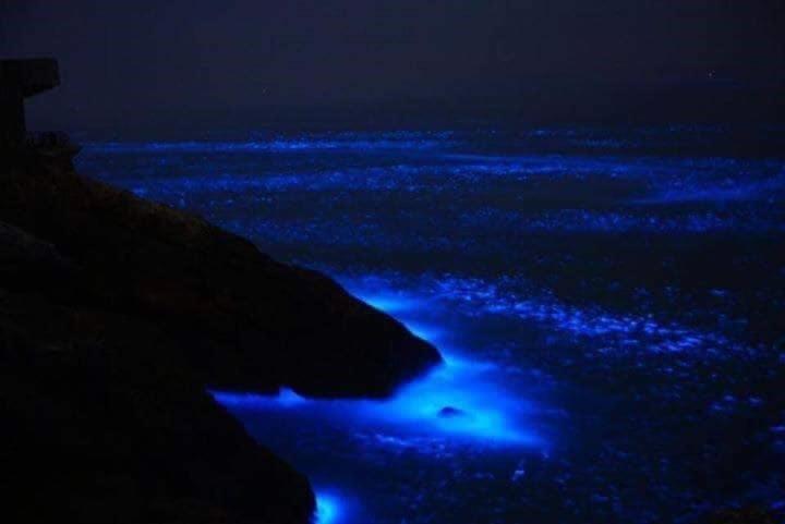 هاستل East Mountain Light Brigade