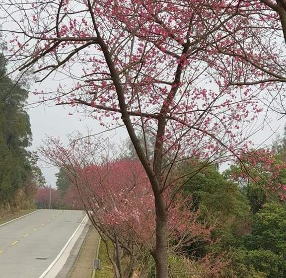 هاستل East Mountain Light Brigade