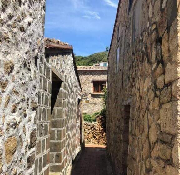 هاستل East Mountain Light Brigade