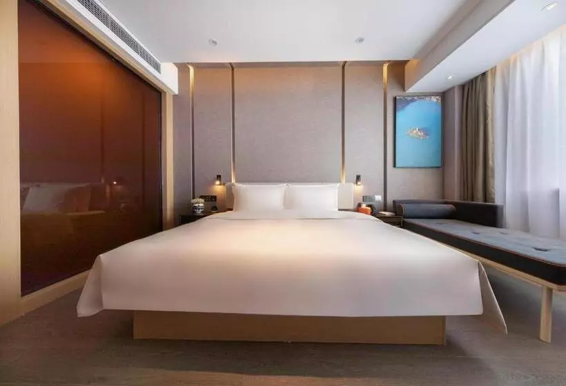 Atour Hotel Lhasa City Government