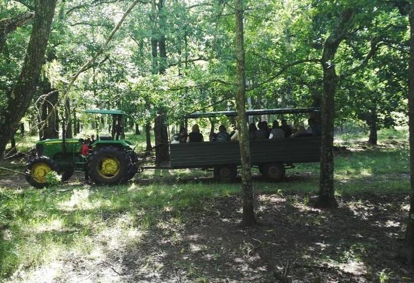 Hotel Estancia Turística San Pedro De Timote