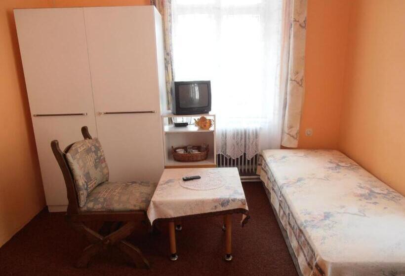 펜션 Penzion U české Koruny