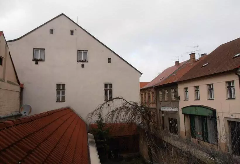 ペンション Penzion U české Koruny