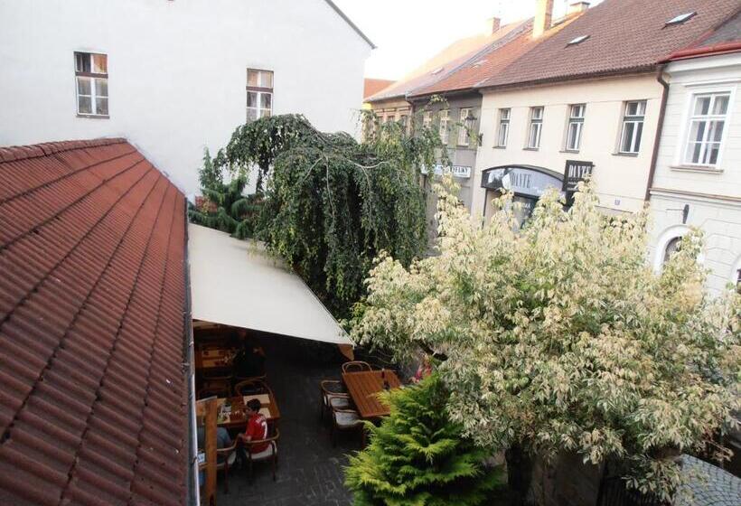 펜션 Penzion U české Koruny