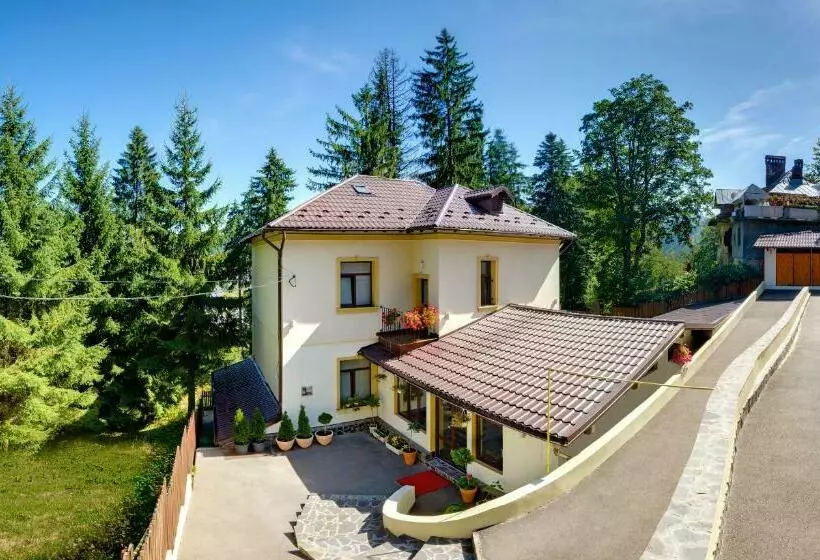 Pension Casa Del Sol Predeal