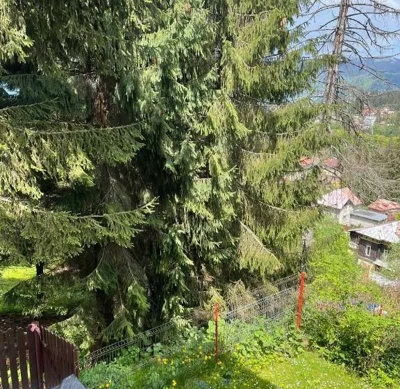 Pension Casa Del Sol Predeal