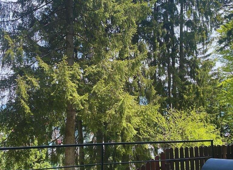 Pension Casa Del Sol Predeal