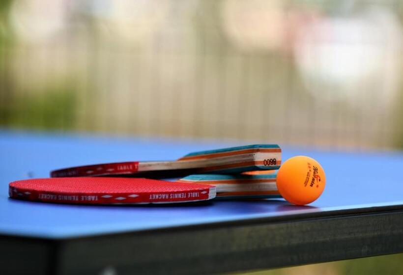 Pension Casa Del Sol Predeal