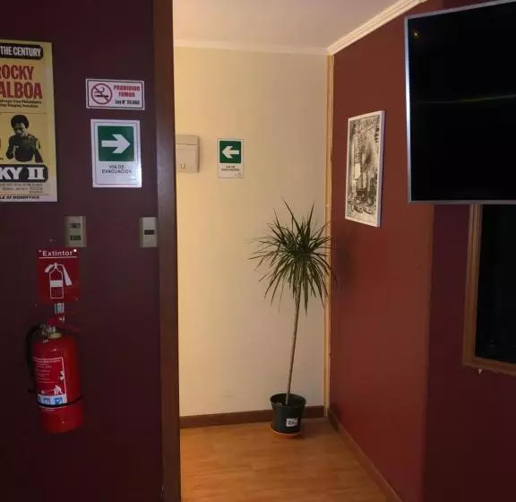 هاستل Valpo Arte