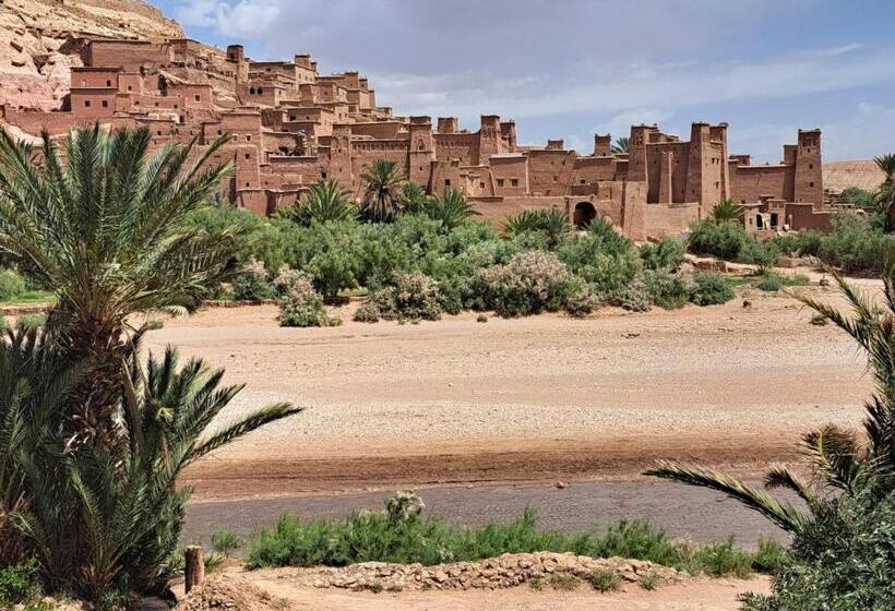 تختخواب و صبحانه Afgo Hostel