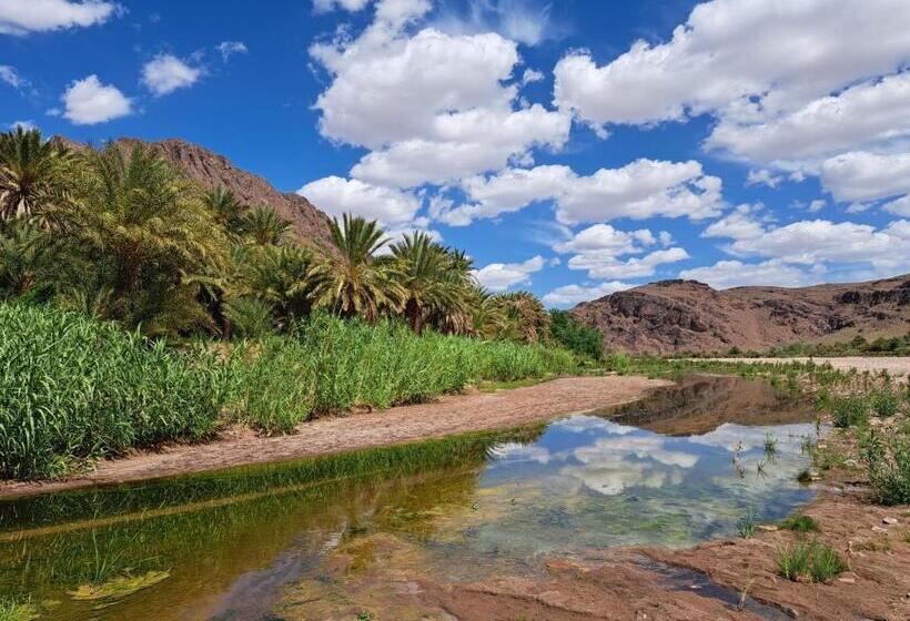 تختخواب و صبحانه Afgo Hostel