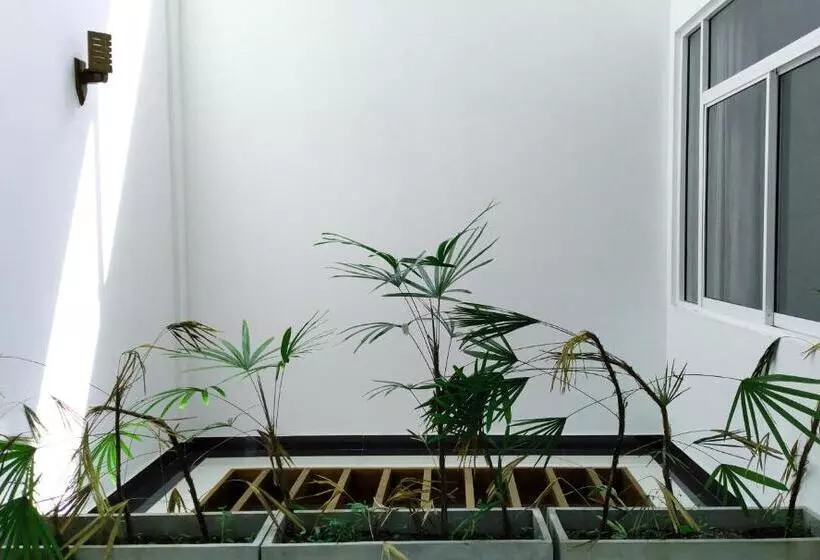 پانسیون Villa Free Way