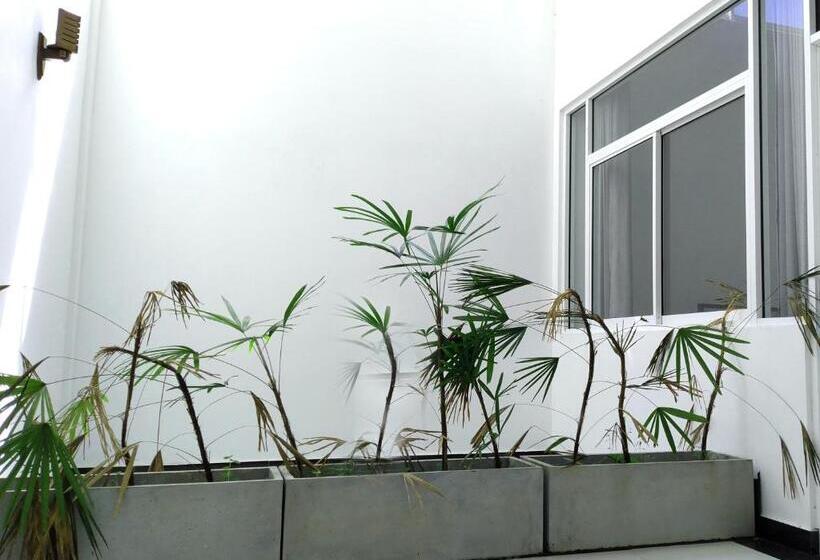 פנסיון Villa Free Way