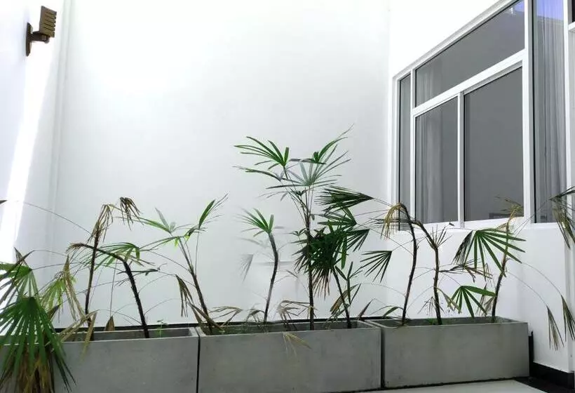 پانسیون Villa Free Way