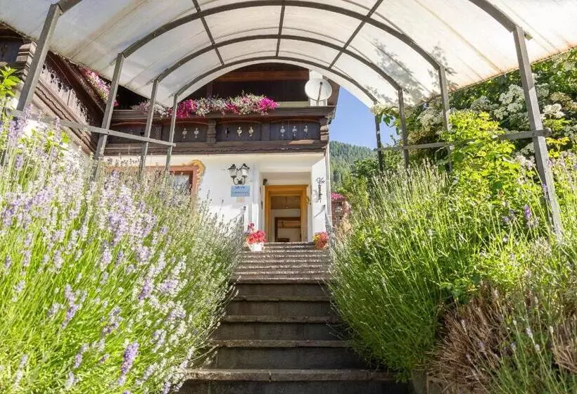 Pension Gulla   Ferienhaus Appartements B&b