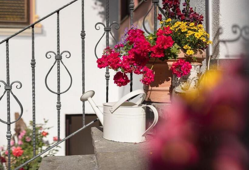 Pension Gulla Ferienhaus Appartements B&b