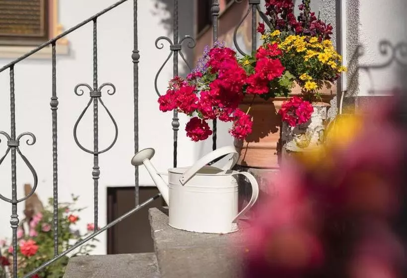 Pension Gulla   Ferienhaus Appartements B&b