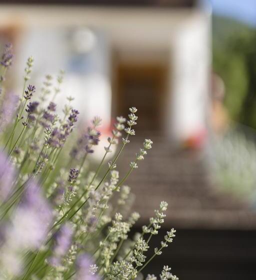 Pension Gulla Ferienhaus Appartements B&b