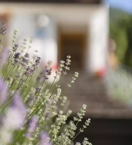 Pension Gulla   Ferienhaus Appartements B&b