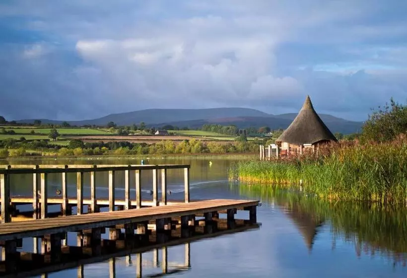 Aamiaismajoitus (B&B) Brynderwen