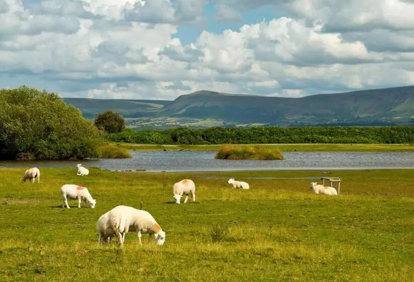 Aamiaismajoitus (B&B) Brynderwen