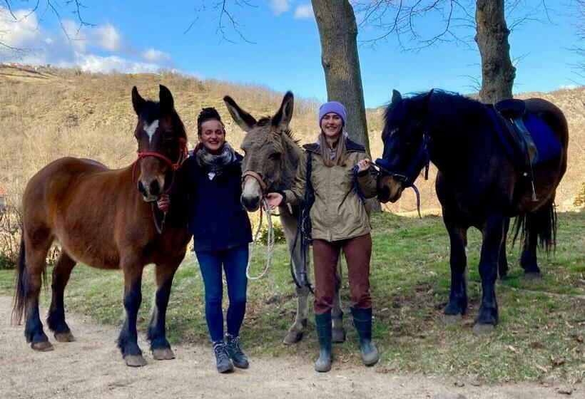 مبيت وإفطار Chateau Paysan Ecolobio De Durianne