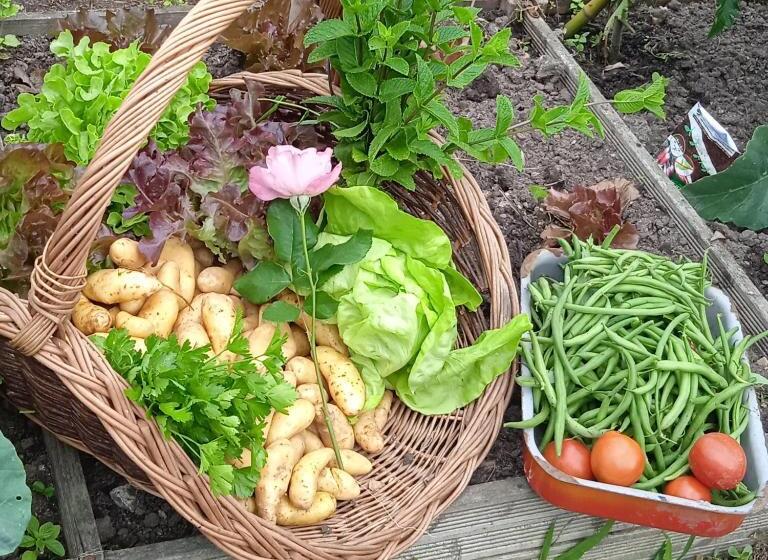 Bed and Breakfast La Girondine