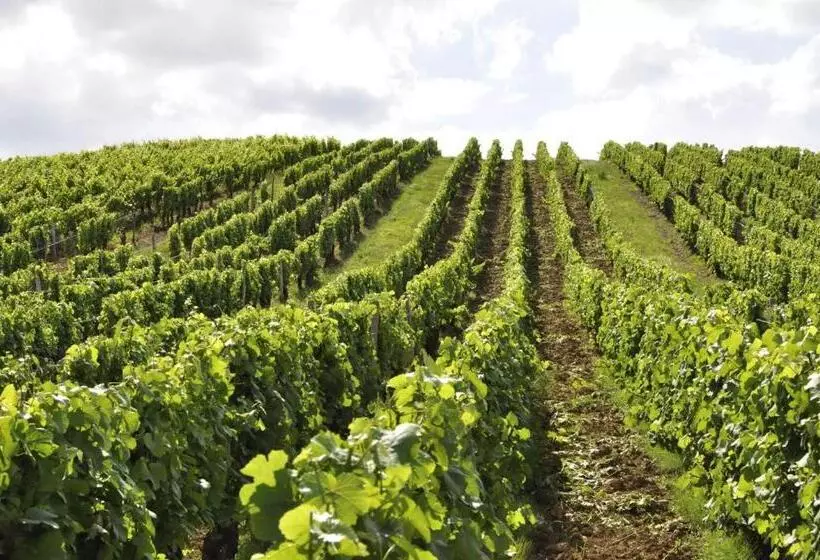 ベッドアンドブレックファースト La Tour Charlemagne