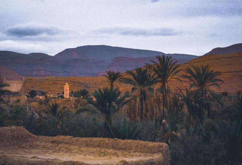 مبيت وإفطار Oasis Travel