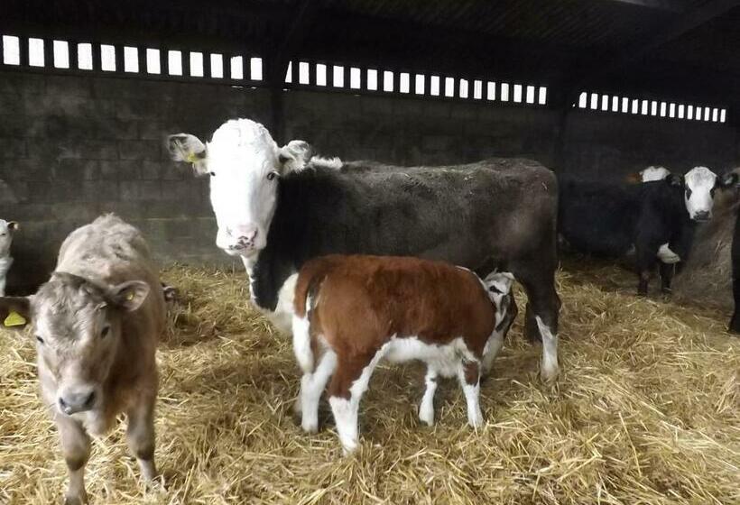 住宿加早餐  Peartree Farm