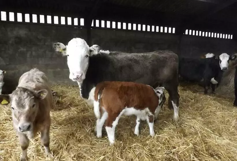 ベッドアンドブレックファースト Peartree Farm