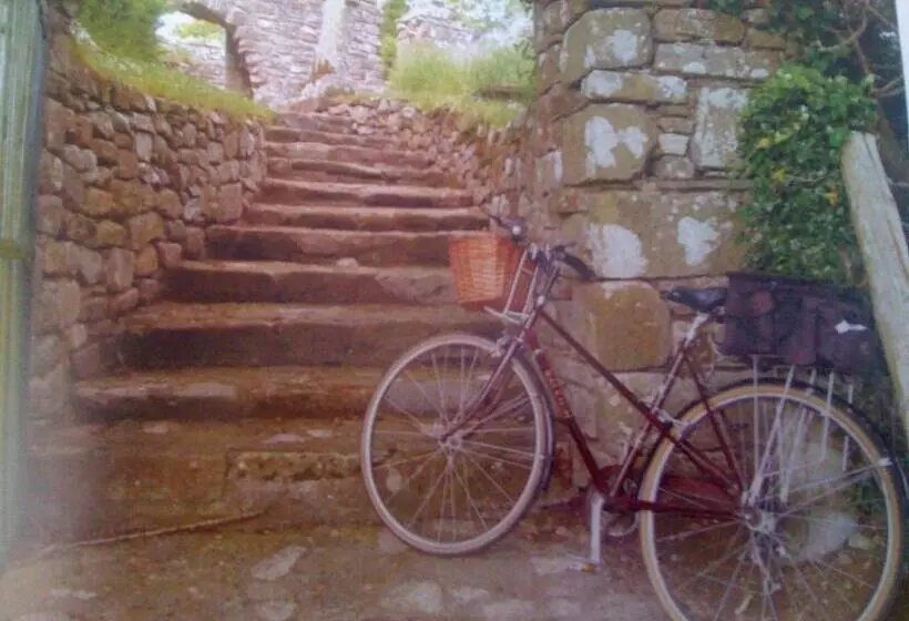 Aamiaismajoitus (B&B) The Vandees