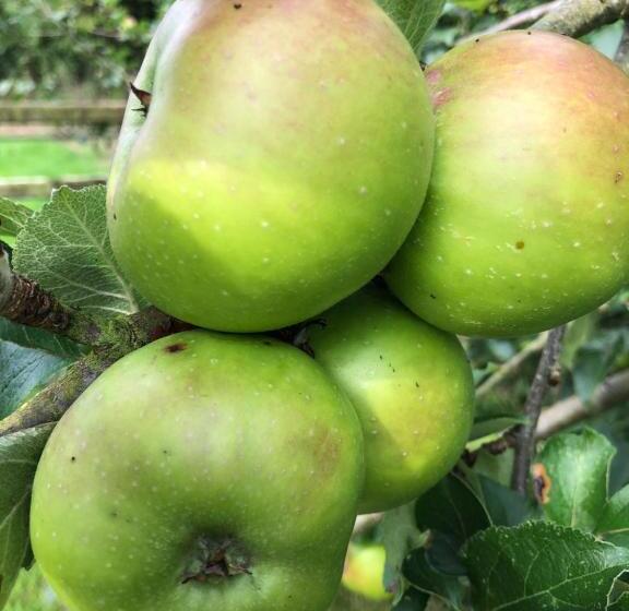 צימר The Vandees