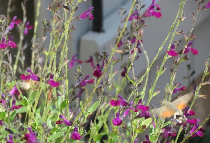 פנסיון A Deux Pas De St Cirq Lapopie, La Chambre Du Cocher Des Murets De L Isa