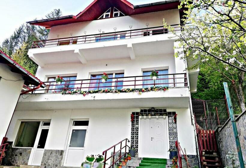 ペンション Casa Vitan