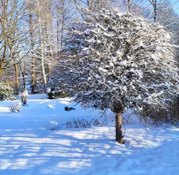 Majatalo Penzion Kosky