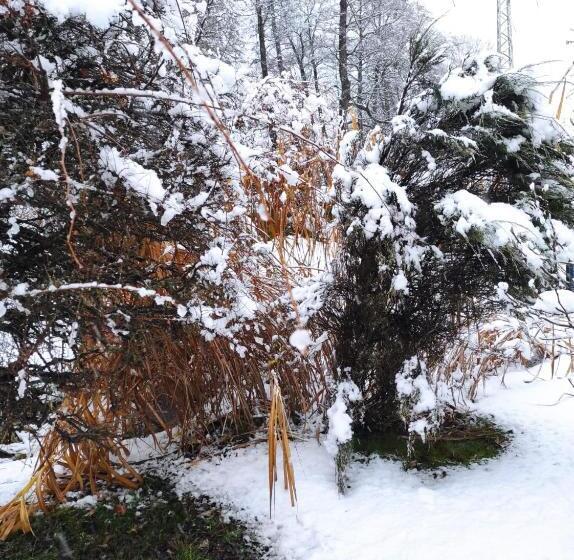 膳宿费 Penzion Kosky