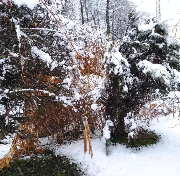 Majatalo Penzion Kosky