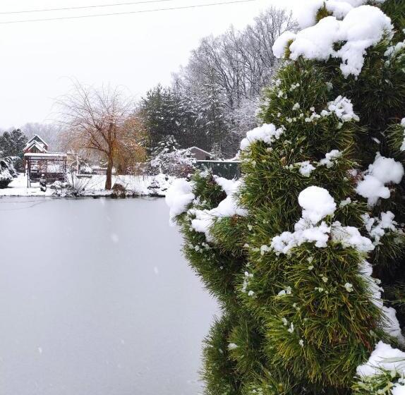 膳宿费 Penzion Kosky