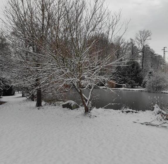 膳宿费 Penzion Kosky