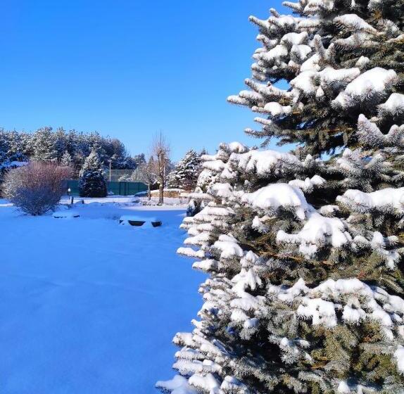 פנסיון Penzion Kosky